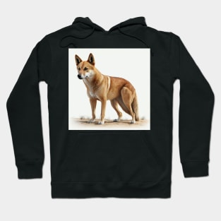 Dingo Hoodie